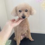 Thumbnail of post image 200