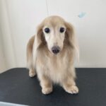 Thumbnail of post image 188