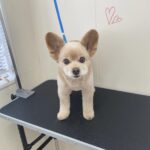 Thumbnail of post image 179