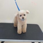 Thumbnail of post image 062