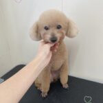 Thumbnail of post image 138