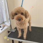 Thumbnail of post image 143