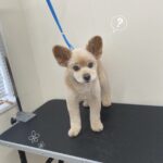 Thumbnail of post image 178