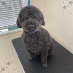 Thumbnail of post image 033