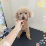 Thumbnail of post image 014
