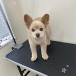 Thumbnail of post image 007