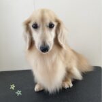 Thumbnail of post image 109