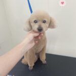 Thumbnail of post image 049