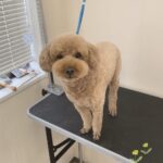 Thumbnail of post image 023