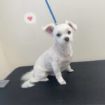 Thumbnail of post image 054