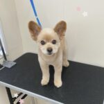 Thumbnail of post image 120