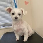 Thumbnail of post image 197