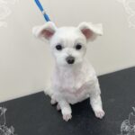 Thumbnail of post image 161