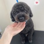 Thumbnail of post image 121