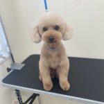 Thumbnail of post image 176