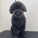 Thumbnail of post image 184