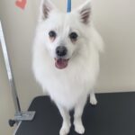 Thumbnail of post image 005